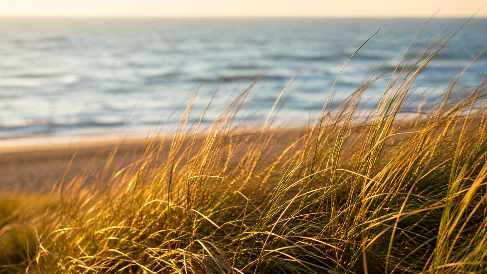Dunes near Holiday Home NordHuys